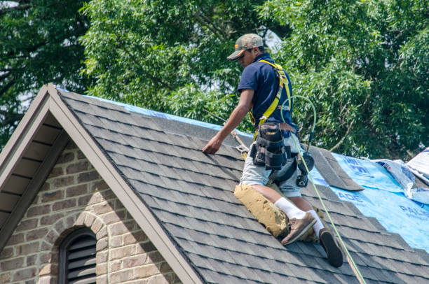 Best Storm Damage Roof Repair  in Angola, IN